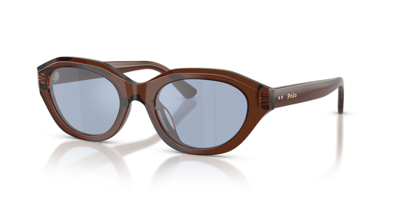 Polo Ralph Lauren PH4237U in Shiny Transparent Brown - Alternate View