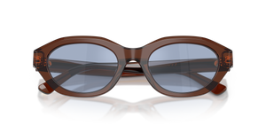 Shiny Transparent Brown / Light Blue Mirror Silver (63531U)