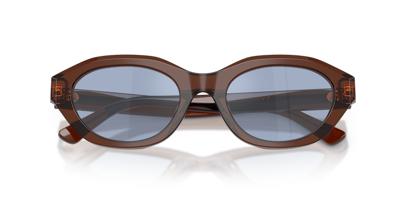 Polo Ralph Lauren PH4237U in Shiny Transparent Brown - Alternate View