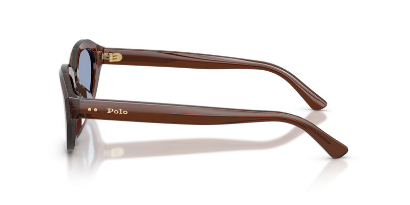 Polo Ralph Lauren PH4237U in Shiny Transparent Brown - Alternate View