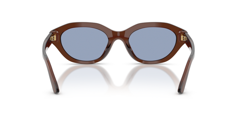 Polo Ralph Lauren PH4237U in Shiny Transparent Brown - Alternate View