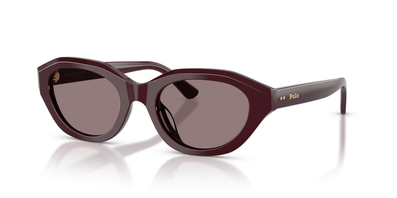 Polo Ralph Lauren PH4237U in Dark Violet - Alternate View
