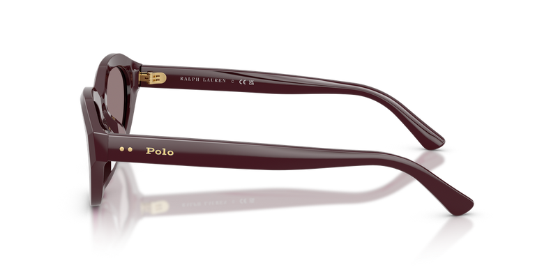 Polo Ralph Lauren PH4237U in Dark Violet - Alternate View
