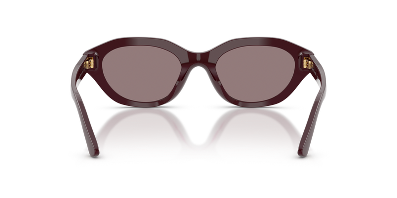Polo Ralph Lauren PH4237U in Dark Violet - Alternate View