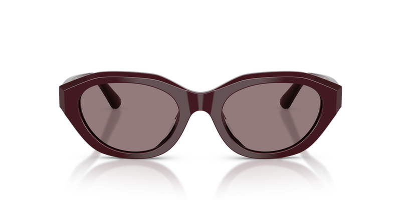 Polo Ralph Lauren PH4237U in Dark Violet - Alternate View