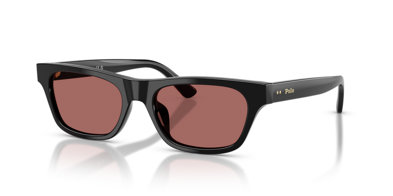 Polo Ralph Lauren PH4238U in Shiny Black - Alternate View