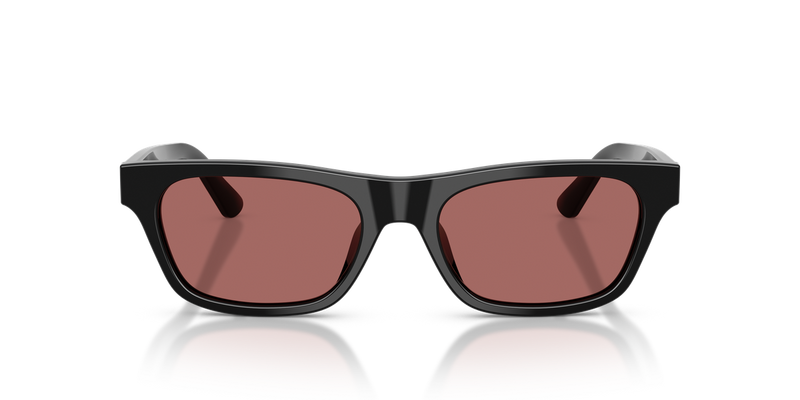 Polo Ralph Lauren PH4238U in Shiny Black - Alternate View