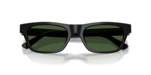Shiny Black / Dark Green (500171)