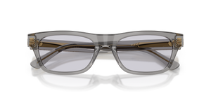 Shiny Transparent Grey / Lillac (63181A)