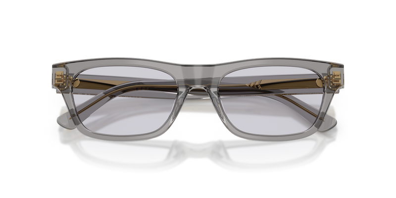 Polo Ralph Lauren PH4238U in Shiny Transparent Grey - Alternate View