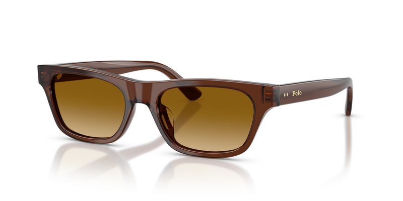 Polo Ralph Lauren PH4238U in Shiny Transparent Brown - Alternate View