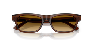 Shiny Transparent Brown / Light Yellow Gradient (63532L)
