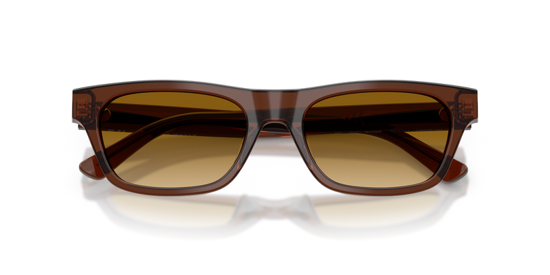 Polo Ralph Lauren PH4238U in Shiny Transparent Brown - Alternate View