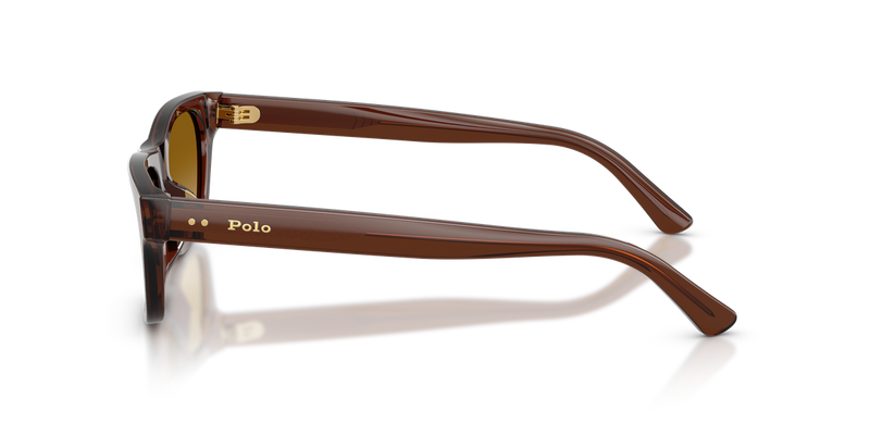 Polo Ralph Lauren PH4238U in Shiny Transparent Brown - Alternate View