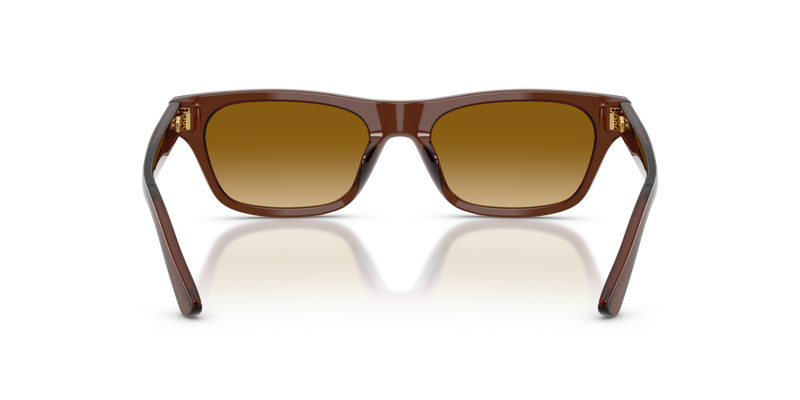 Polo Ralph Lauren PH4238U in Shiny Transparent Brown - Alternate View