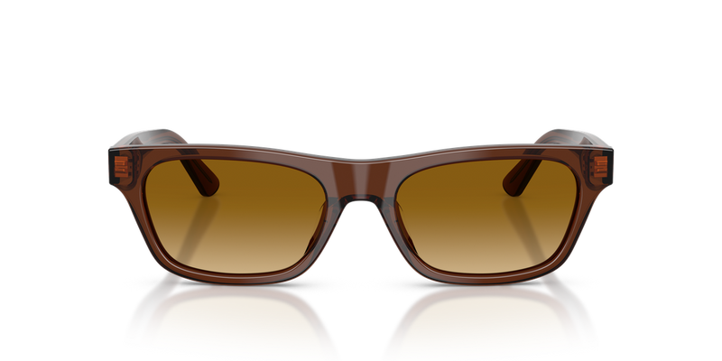 Polo Ralph Lauren PH4238U in Shiny Transparent Brown - Alternate View