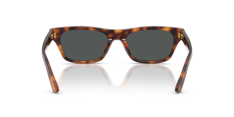 Polo Ralph Lauren PH4238U in Marrone Tartaruga - Alternate View