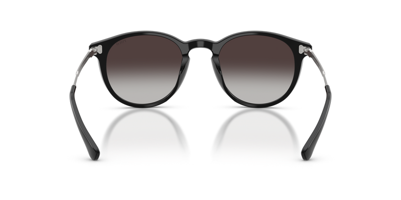 Polo Ralph Lauren PH4239U in Shiny Black - Temple Detail