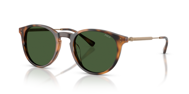 Polo Ralph Lauren PH4239U in Shiny Red Havana - Alternate View
