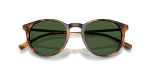Shiny Red Havana / Dark Green (500371)