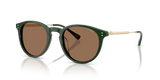 Solid Green / Dark Brown (614073)