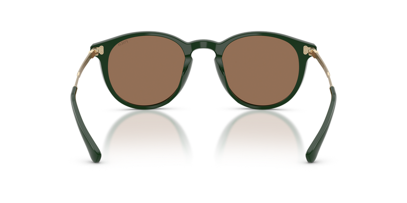 Polo Ralph Lauren PH4239U in Solid Green - Alternate View