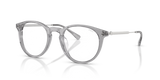 Shiny Transparent Grey / Blue-Violet Light Filter (6356SB)
