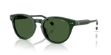 Shiny Green / Dark Green (631671)
