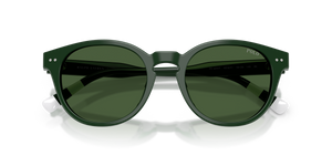 Shiny Green / Dark Green (631671)