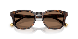 Shiny Havana / Dark Brown (562573)