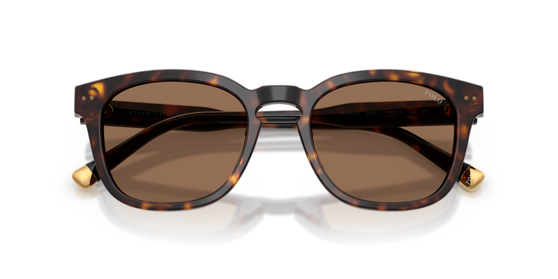 Polo Ralph Lauren PH4242F in Shiny Havana - Alternate View