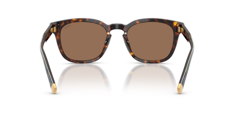 Polo Ralph Lauren PH4242F in Shiny Havana - Alternate View