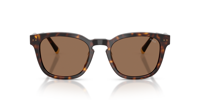 Polo Ralph Lauren PH4242F in Shiny Havana - Alternate View