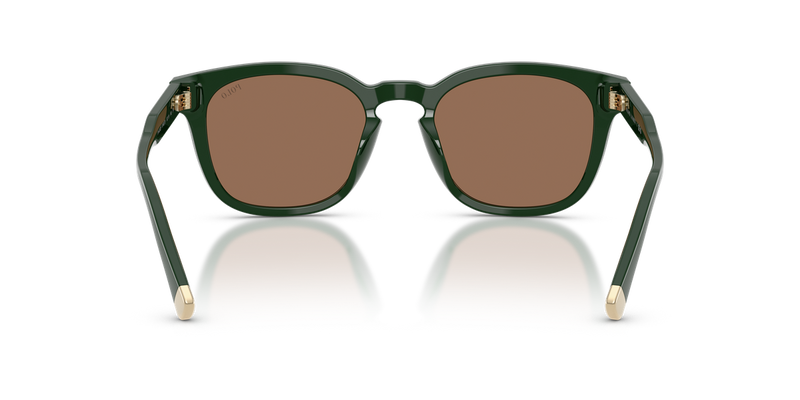 Polo Ralph Lauren PH4242F in Shiny Dark Green - Alternate View