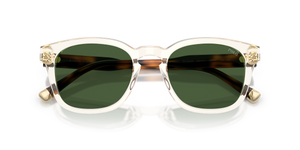 Shiny Transparent Yellow / Dark Green (635771)