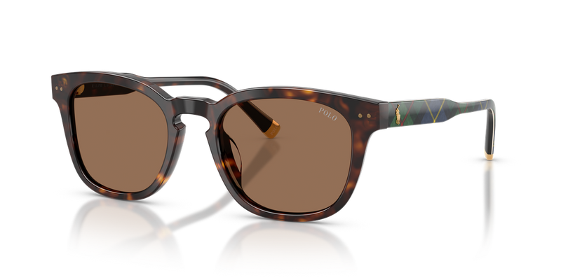 Polo Ralph Lauren PH4242U in Shiny Havana / Dark Brown (562573) - Alternate View
