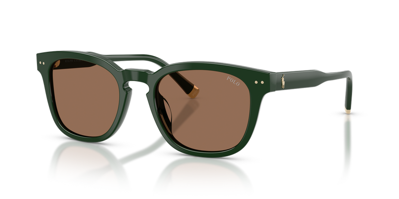 Polo Ralph Lauren PH4242U in Shiny Dark Green / Dark Brown (614073) - Alternate View