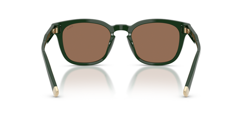 Polo Ralph Lauren PH4242U in Shiny Dark Green / Dark Brown (614073) - Alternate View