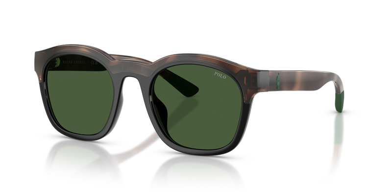 Polo Ralph Lauren PH4243U in Havana/Black - Alternate View