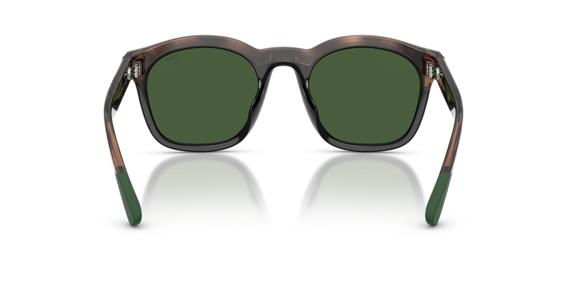 Polo Ralph Lauren PH4243U in Havana/Black - Alternate View