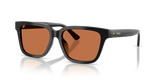 Shiny Black / Brown (500173)