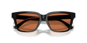 Shiny Black / Brown (500173)
