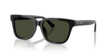 Shiny Black / Dark Green (500182)