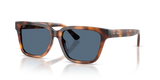 Shiny Tortoise / Dark Blue (635580)