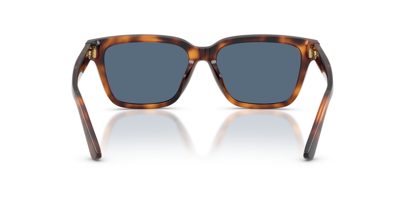 Polo Ralph Lauren PH4247U in Shiny Tortoise - Alternate View