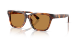 Shiny Tortoise / Light Brown (635593)