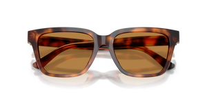 Shiny Tortoise / Light Brown (635593)