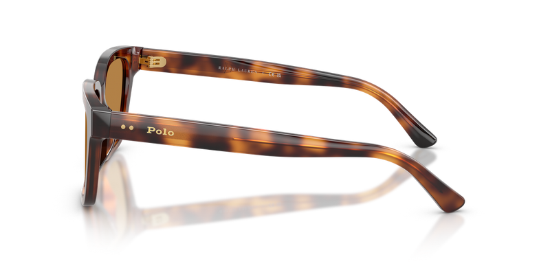 Polo Ralph Lauren PH4247U in Shiny Tortoise - Alternate View