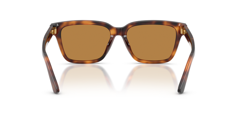 Polo Ralph Lauren PH4247U in Shiny Tortoise - Alternate View
