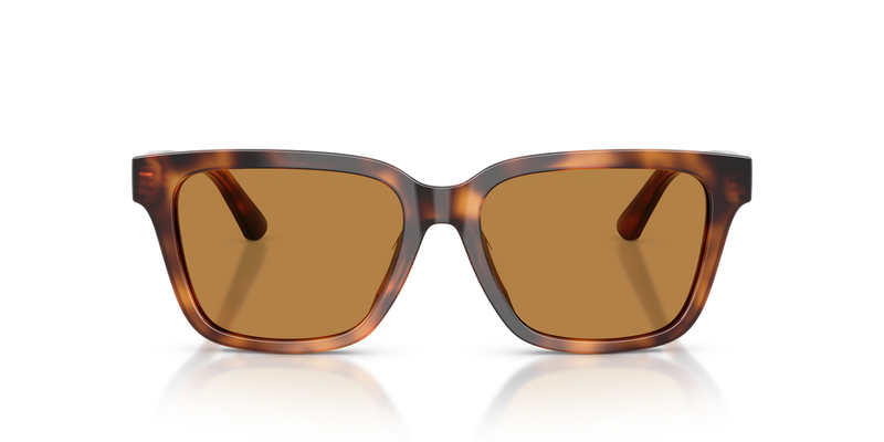 Polo Ralph Lauren PH4247U in Shiny Tortoise - Alternate View